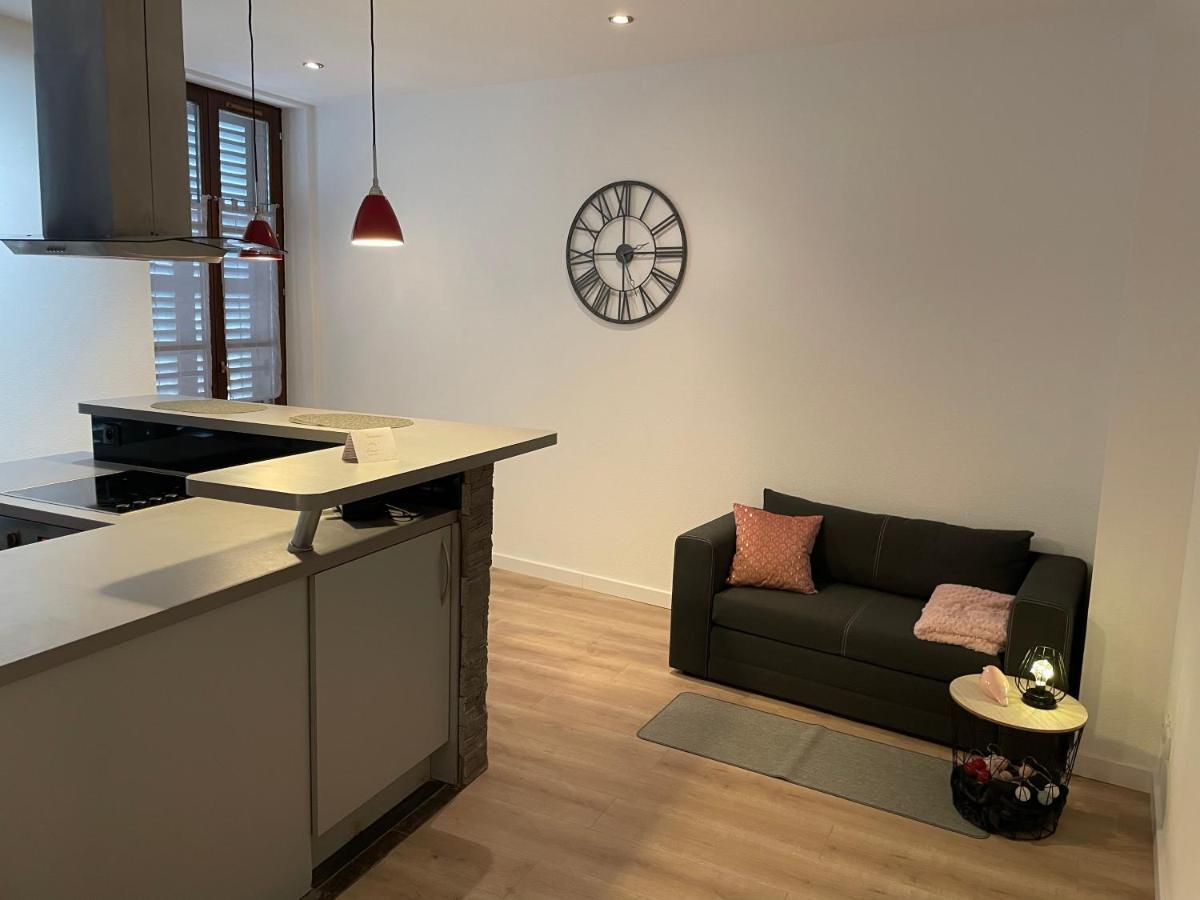 Ferienwohnung Chaleureux F2 Dans L'Hypercentre Colmarien Exterior foto